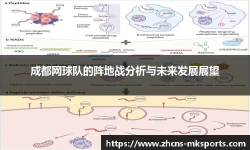 成都网球队的阵地战分析与未来发展展望