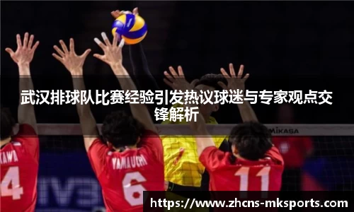 武汉排球队比赛经验引发热议球迷与专家观点交锋解析