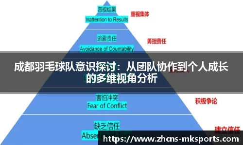 成都羽毛球队意识探讨：从团队协作到个人成长的多维视角分析