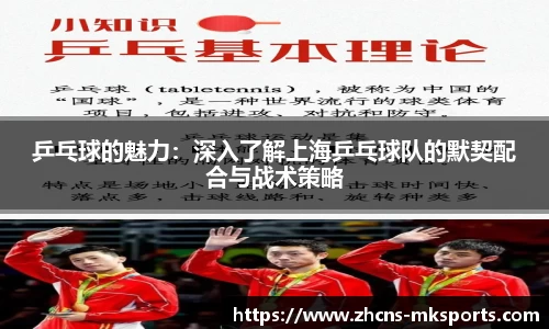 乒乓球的魅力：深入了解上海乒乓球队的默契配合与战术策略